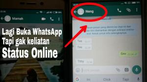 Cara mendapatkan status online di WhatsApp benar-benar hilang